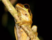 costarica