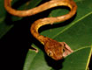 costarica