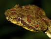costarica