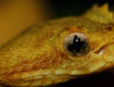 costarica