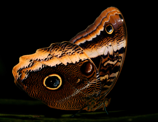 costarica