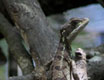 costarica