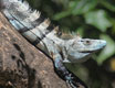 costarica