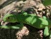 costarica