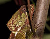 costarica