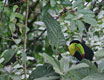 costarica