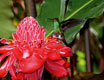 costarica