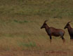 rwanda